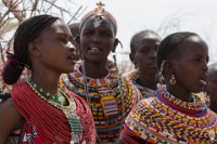Safari2013-122